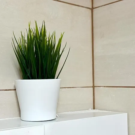Apartment Rodopi *